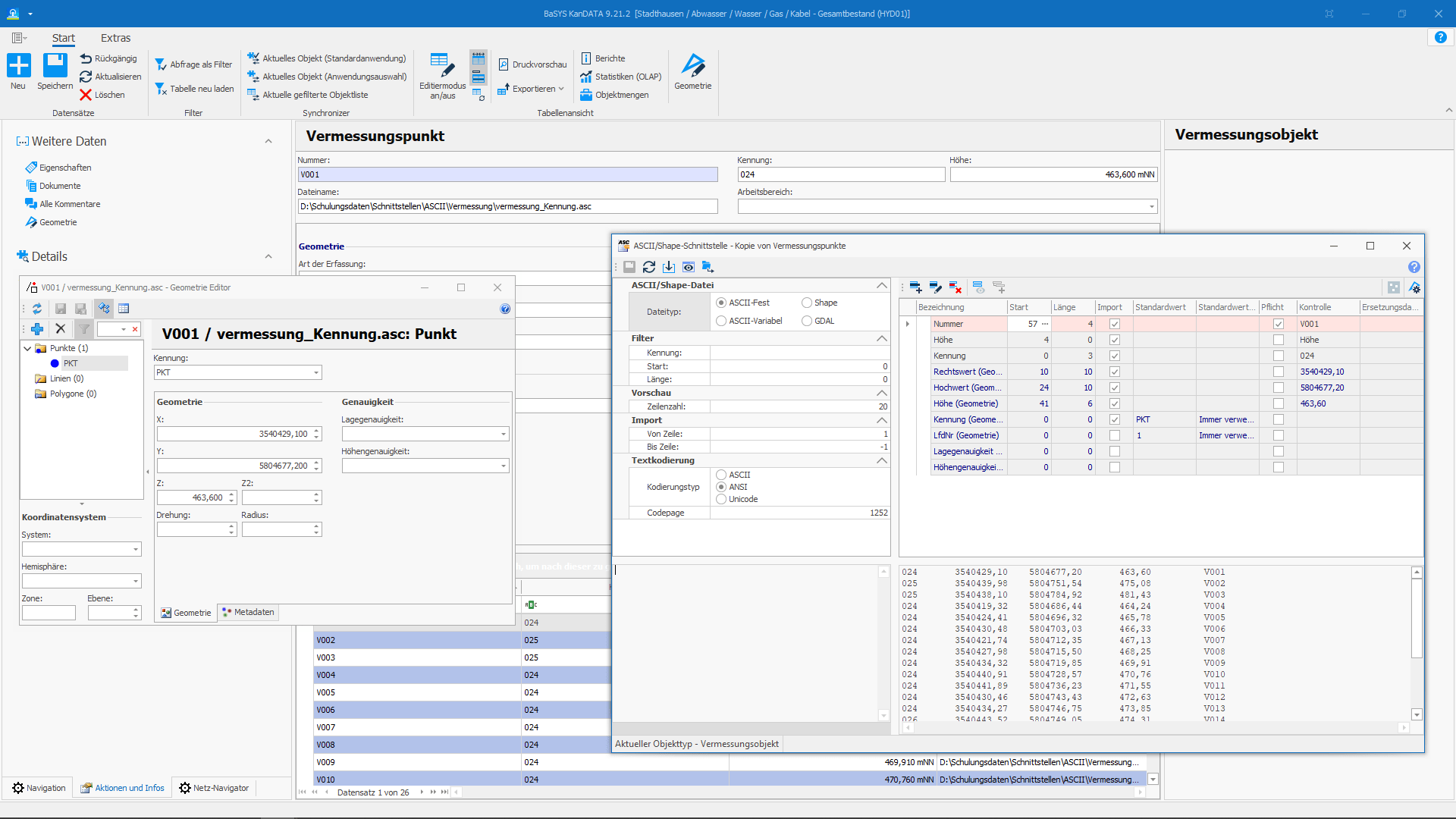 Bild zeigt Screenshot vom ASCII-Import 1/3: ASCII Import von Vermessungspunkten vom Dateityp ASCII-Fest